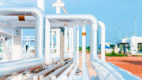    "Ъ": кабмин может частично снять запрет на экспорт дизельного топлива Ирина Петрова