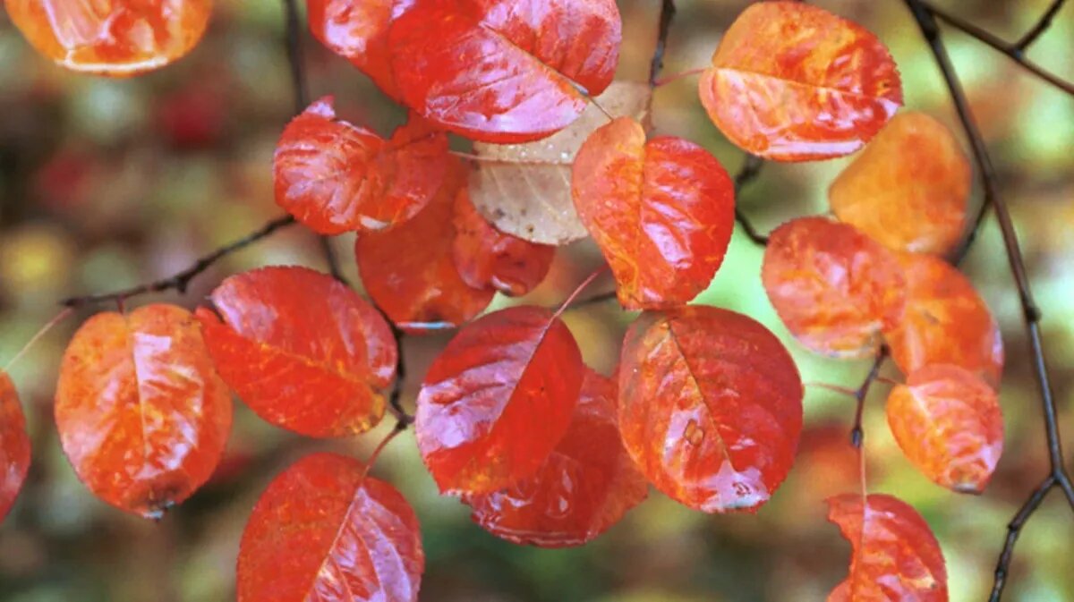 Помиритесь с теми, с кем вы когда-то поссорились – сегодня любые разговоры, касающиеся отношений, будут идти на пользу. Фото: Globalloorpress