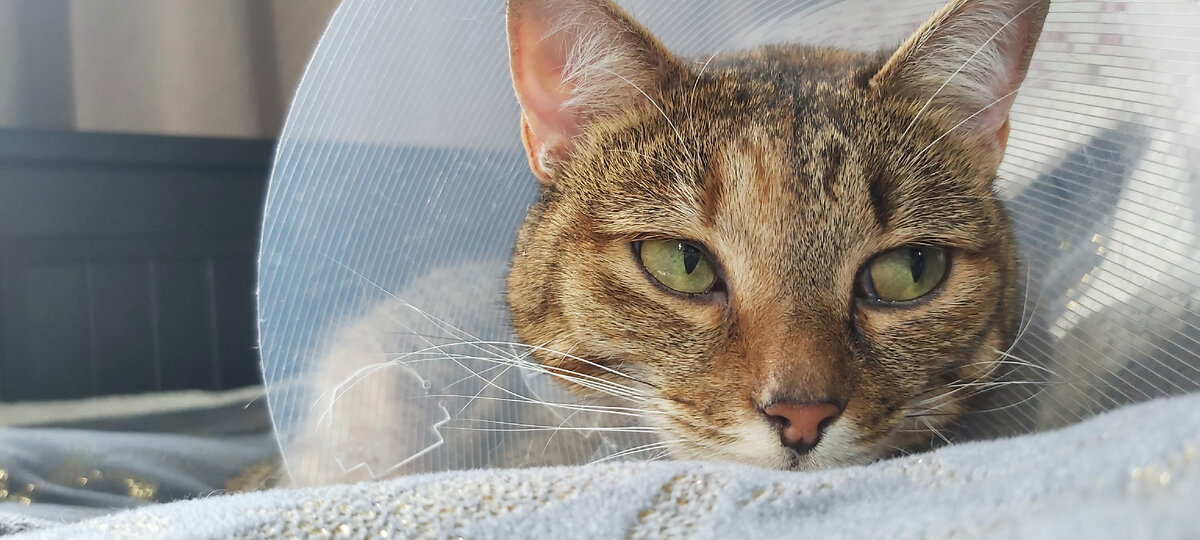 Фото автора. Почувствовала себя охотником