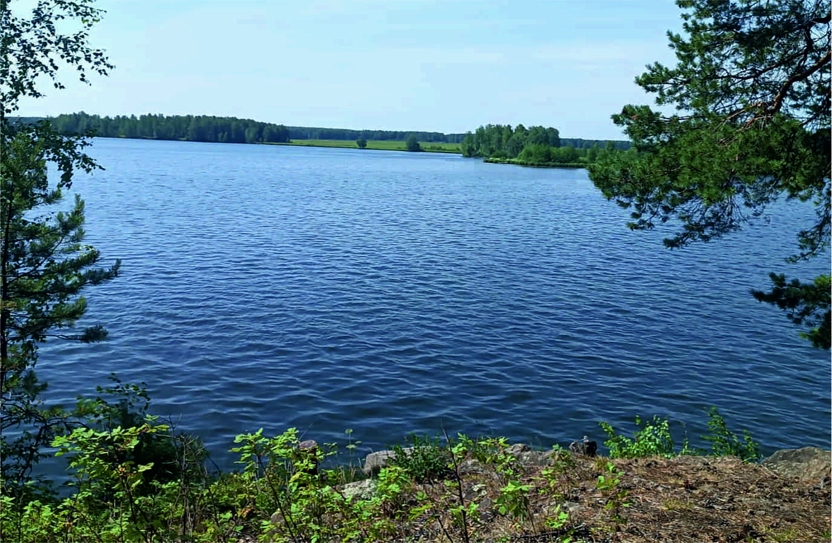 Из личного архива. Во время прогулок по Нижней Туре. Примерно здесь я плавала в своих мечтах)