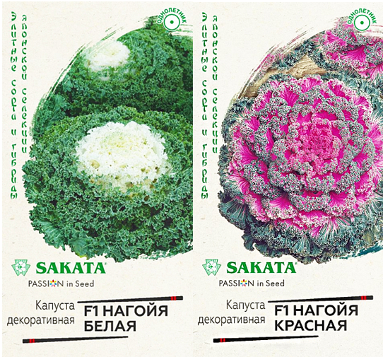 Нагойя белая и красная 