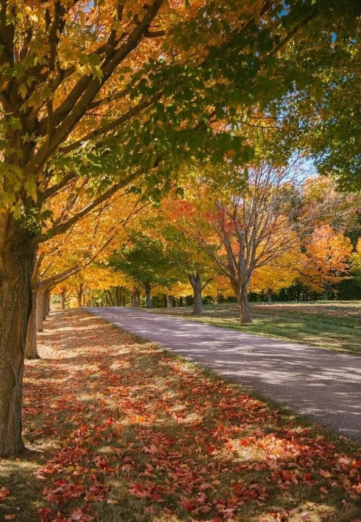 Фото из интернета 