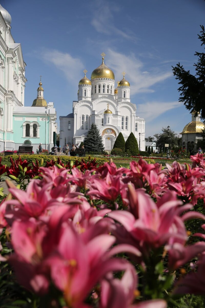 Р”РёРІРЅРѕРµ Р”РёРІРµРµРІРѕ РІ С†РІРµС‚Сѓ