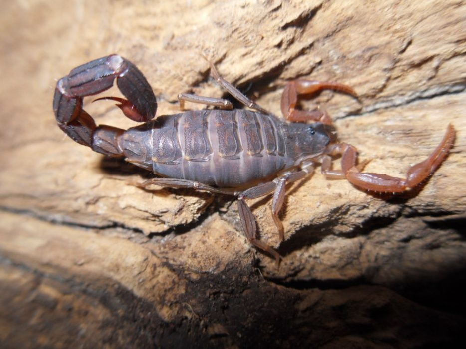 фото из Интернета 