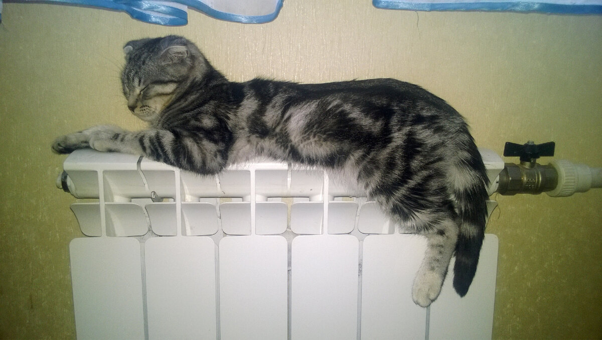 Фото из домашнего архива