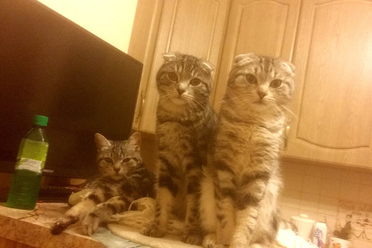 Фото из домашнего архива