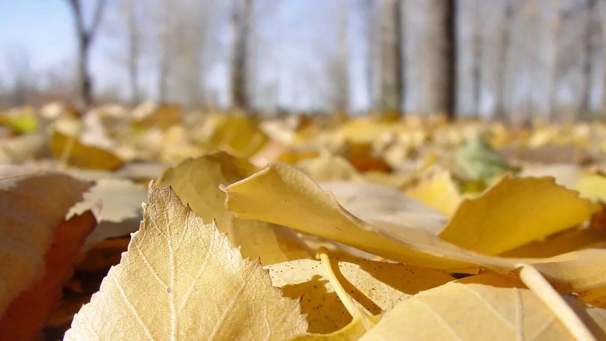 5 октября православная церковь чтит память сразу двух святых. Фото: pxhere.com