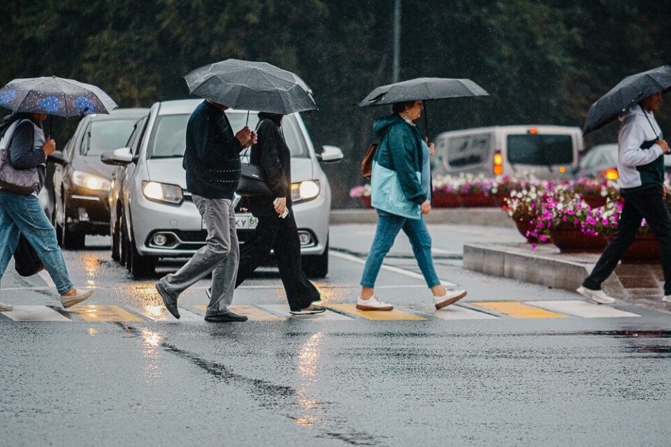 Фото Елены Коноплевой