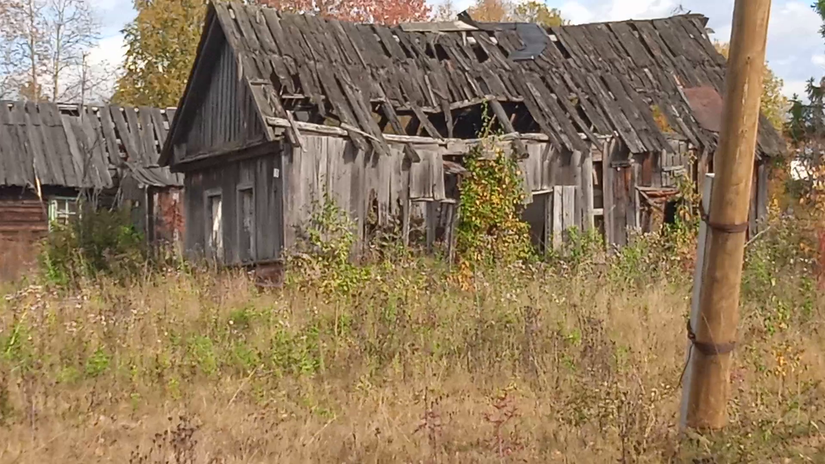 Еще совсем недавно тут жили люди. Трудно в это поверить?