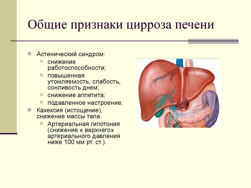 Что вы знаете о циррозе печени? Врач рассказала об основной опасности этой  патологии | О здоровье: с медицинского на русский | Дзен