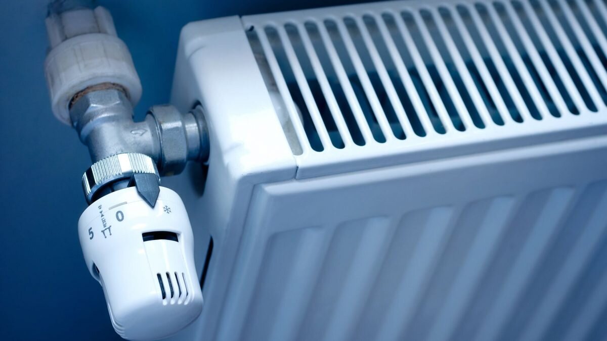    Фото: Fotolia / Özgür Güvenç Август Макаров