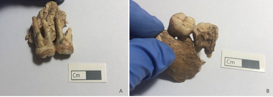   Xiaoran Wang et al. / Scientific Reports, 2023