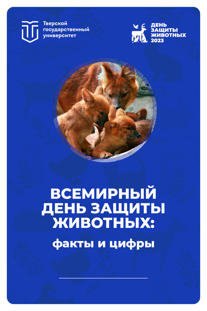 4 октября с днем защиты животных