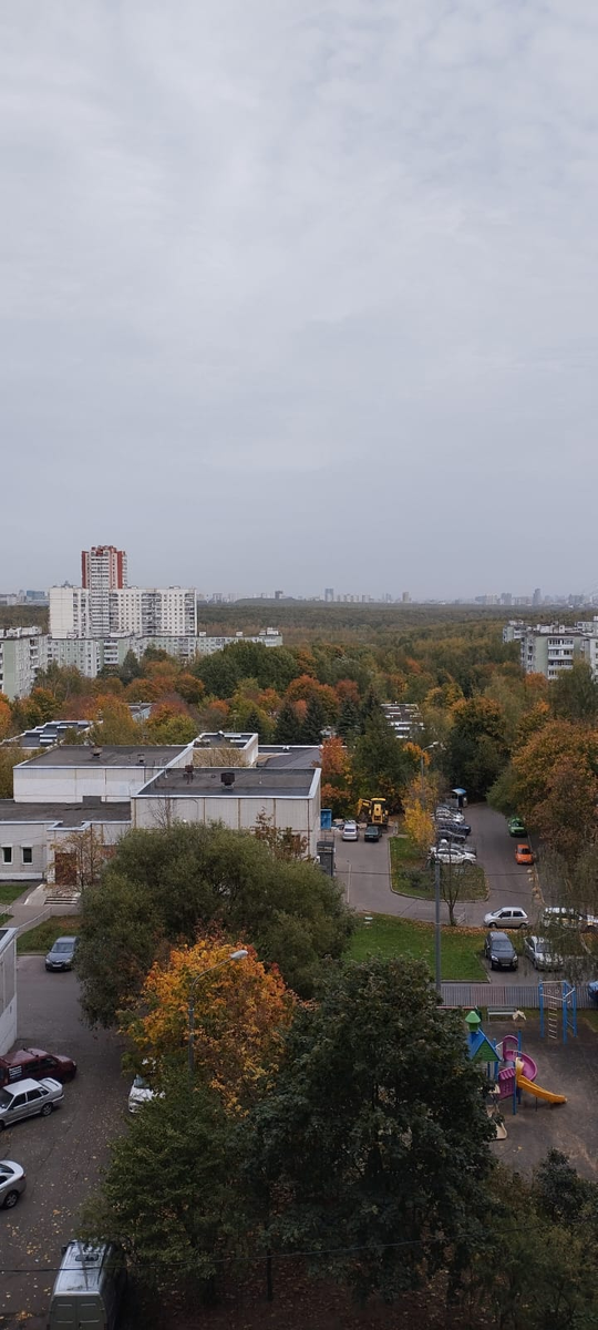 Фото Ясенево. Фото Битцевский парк