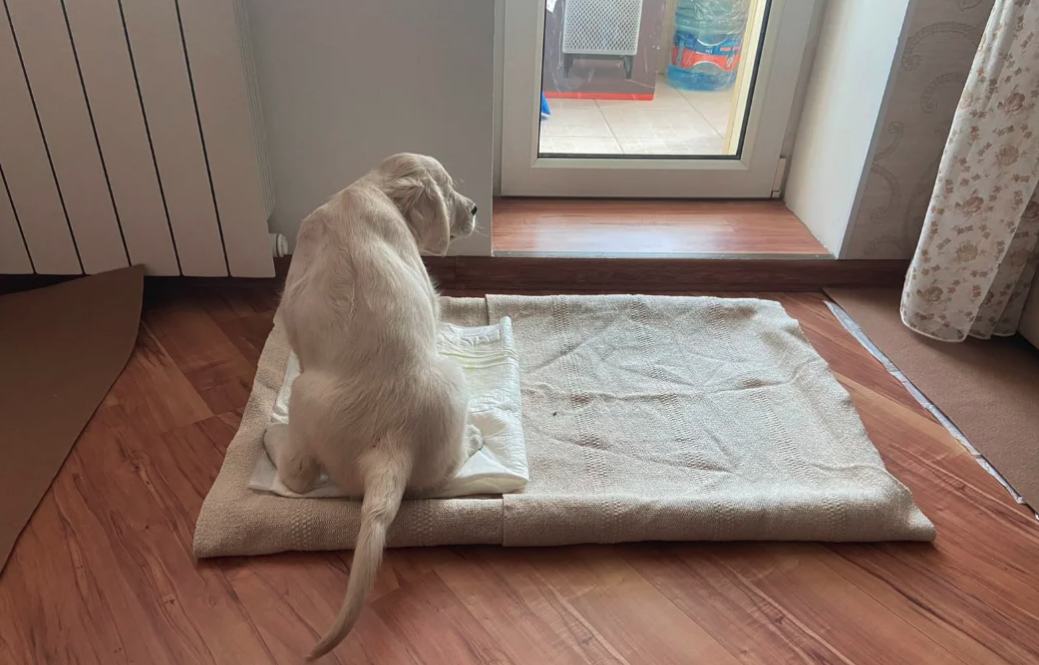 Маленькая Лана