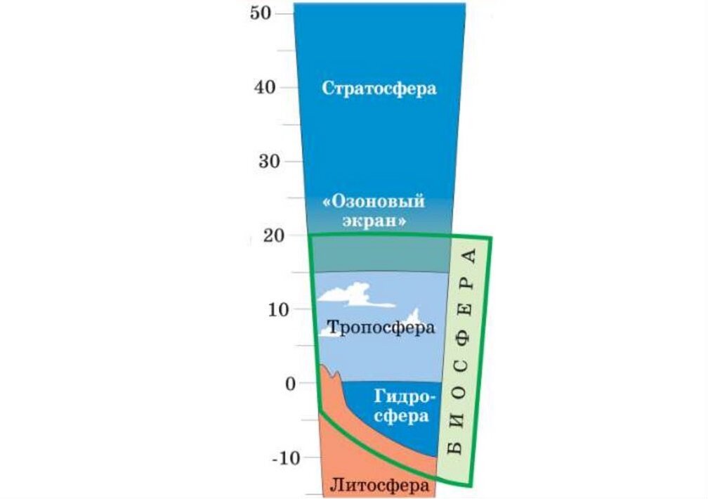 Схема границы биосферы покажите штриховкой область земли в которой существует жизнь 6 класс