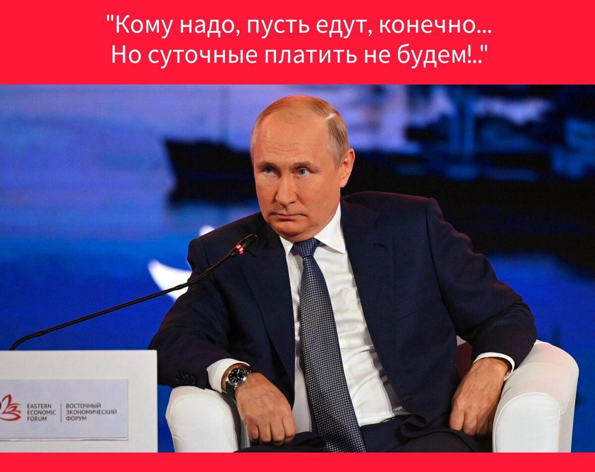 Фото в редакции автора