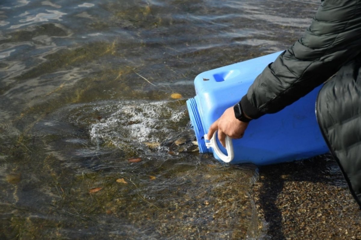    Карасей из пруда в парке Дома офицеров в Чите выловили на зимовку