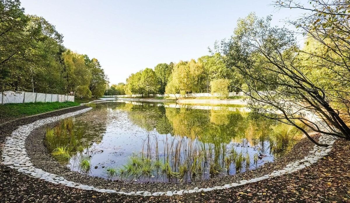     Пруд. Источник: mos.ru Автор фото: Пресс-служба Мэра и Правительства Москвы
