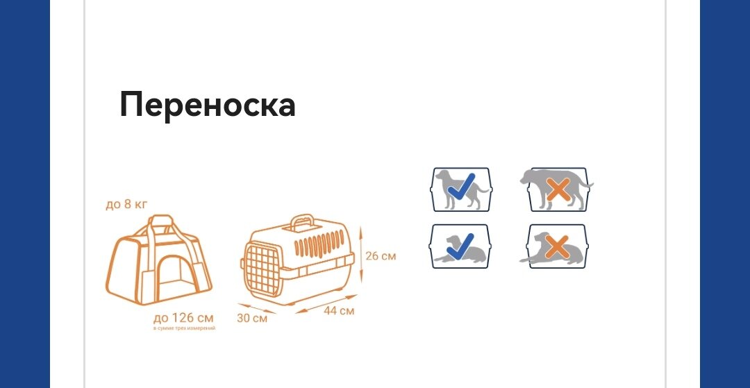 Скриншот с сайта aeroflot.ru