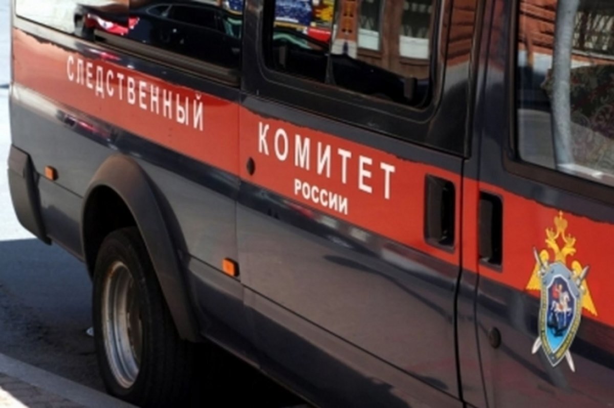    СК: в Тюмени будут судить водителя, сбившего 12-летнюю девочку на переходе