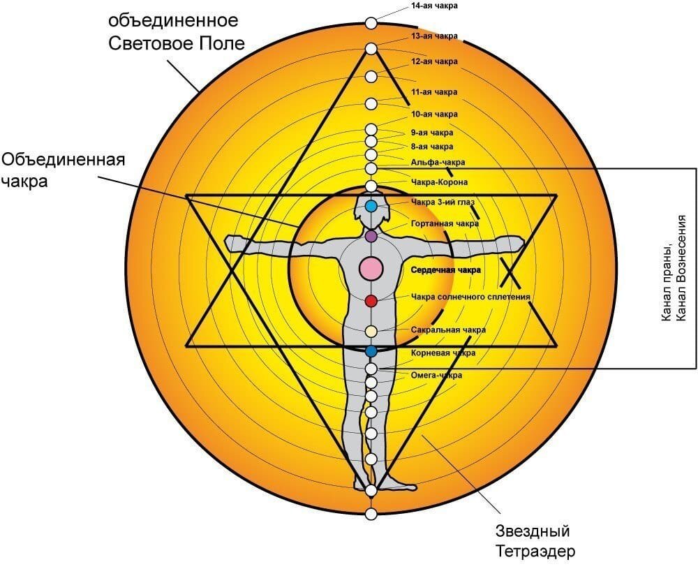 Соединяющий тела. Самонастройка Объединенная чакра. Чакральная система человека. Альфа чакра Омега чакра. Чакры нового времени.