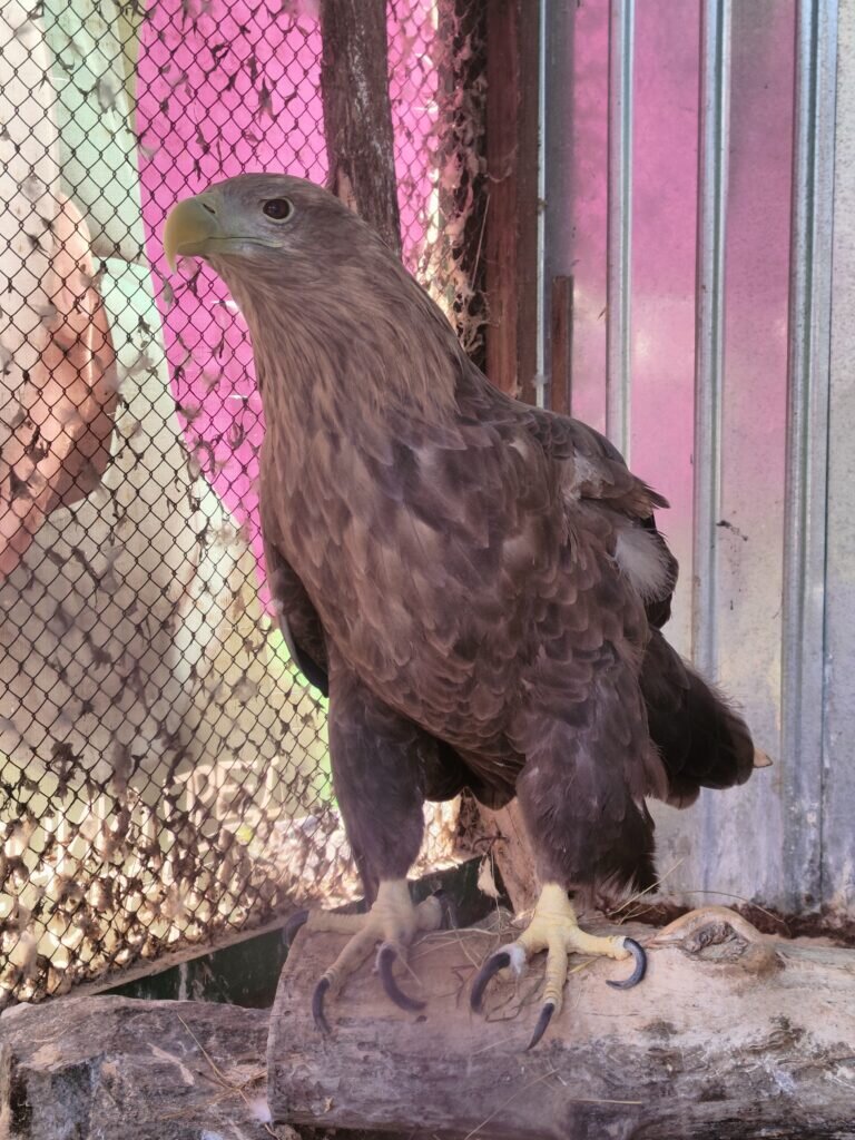    Фото: Екатерина Золотавина