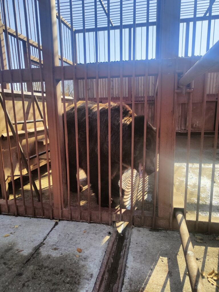    Фото: Екатерина Золотавина