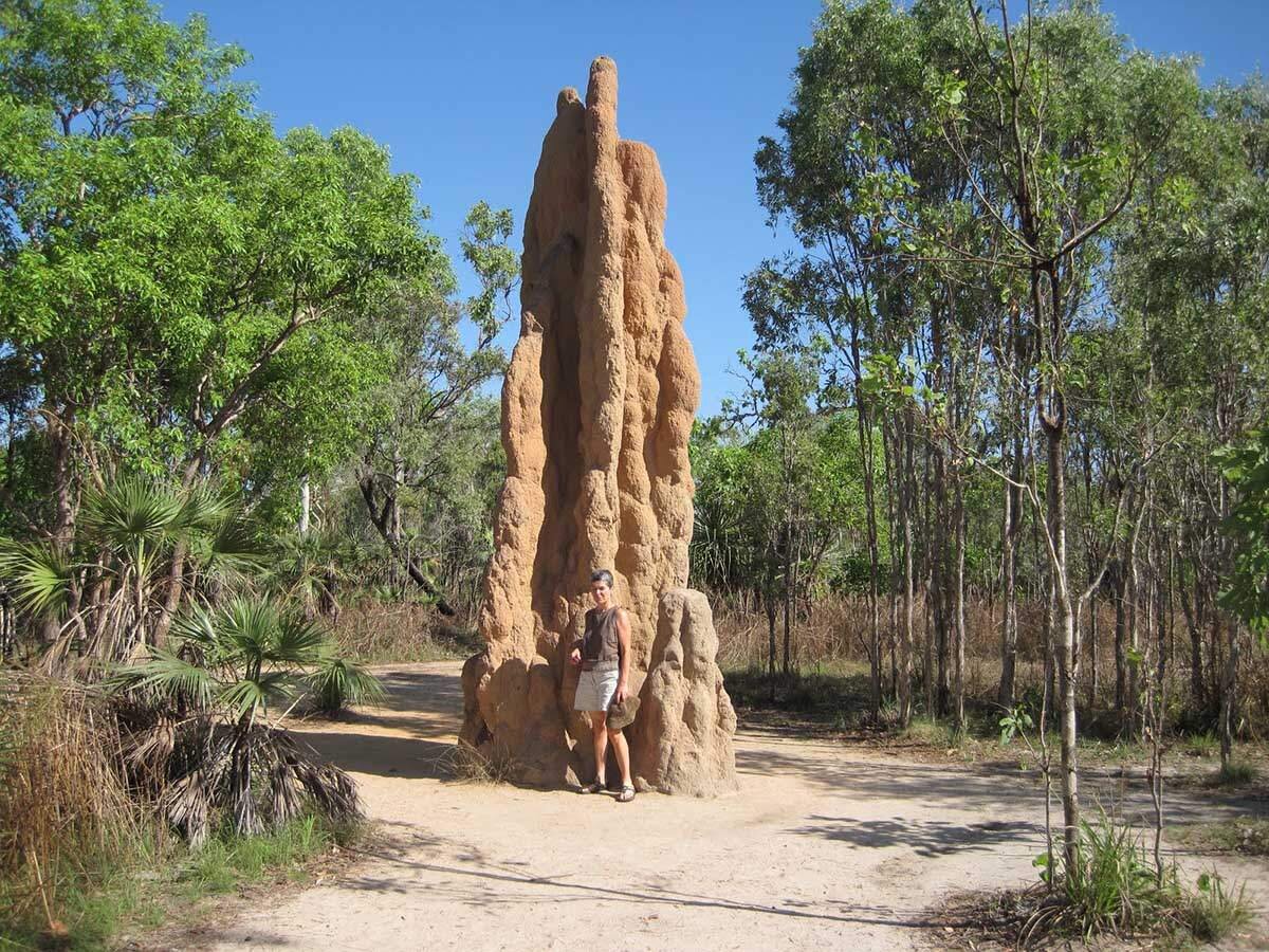 Источник: Яндекс Картинки. Турист фотографируется на фоне жилища термитов.