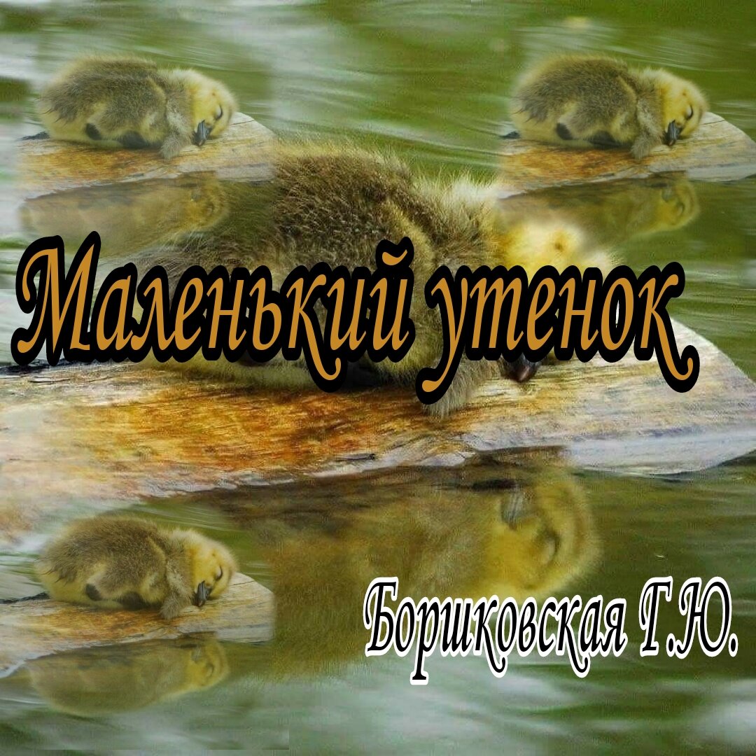 Как выглядит маленький утенок