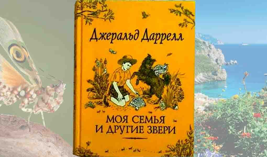 Я и моя семья. Пособие по детскому этикету для воспитателей детских садов и школ раннего развития