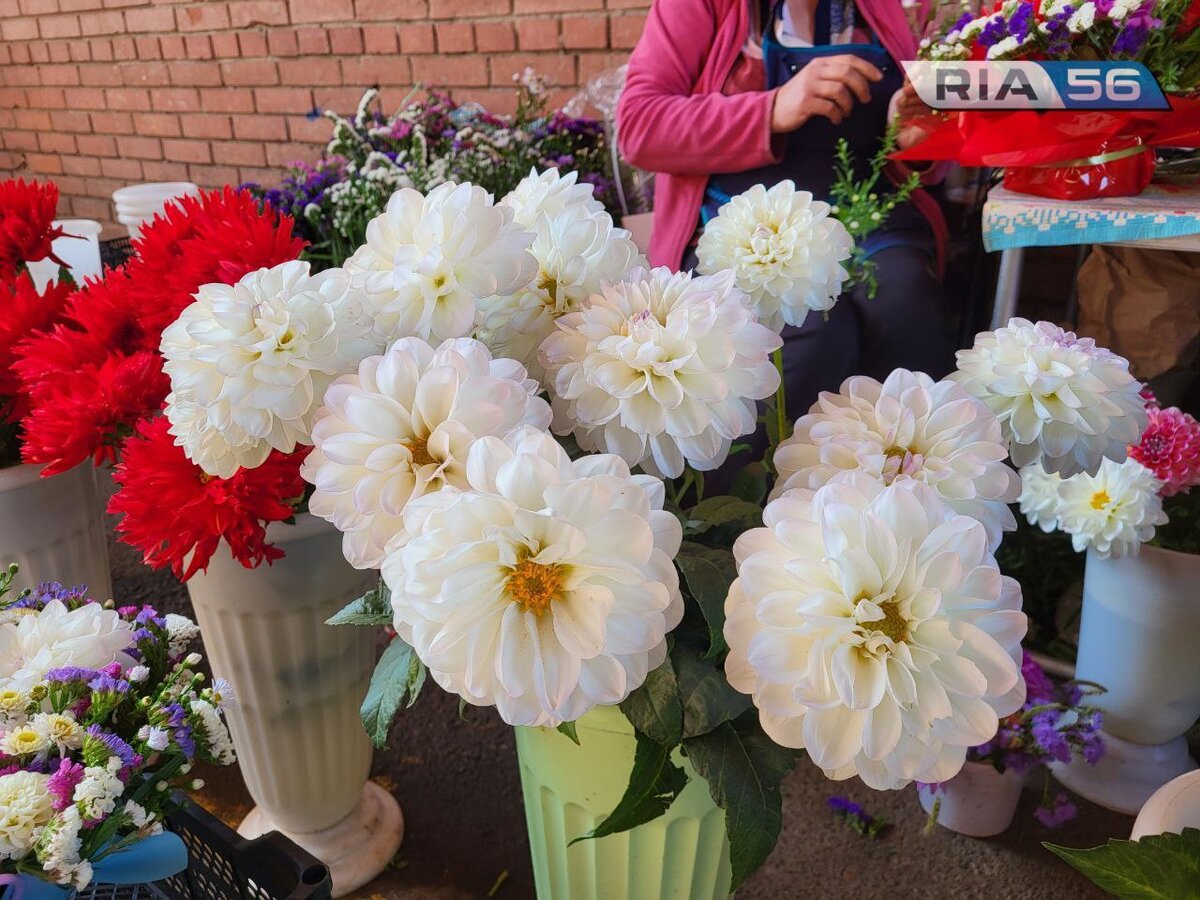  📷    РИА56 выяснила, сколько в Оренбурге стоят цветы ко Дню учителя Марина Шарт