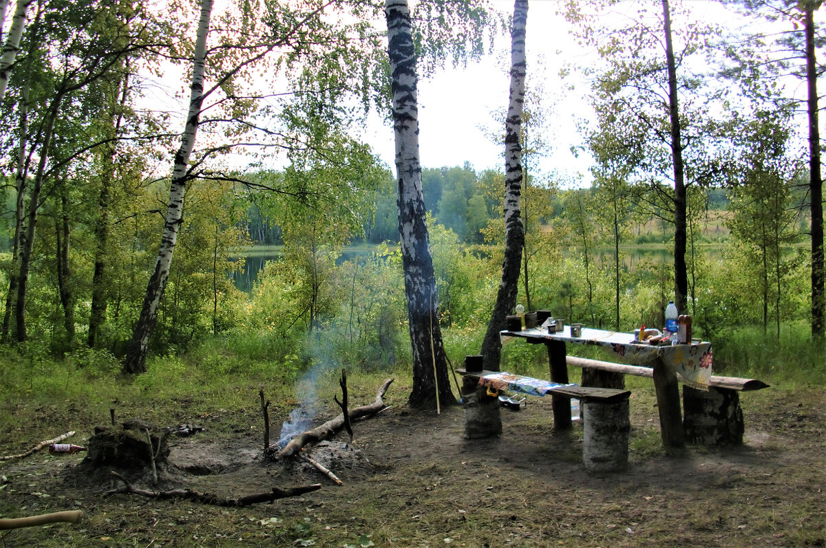 Озеро грачи. Озеро Грачи Нижегородская область.