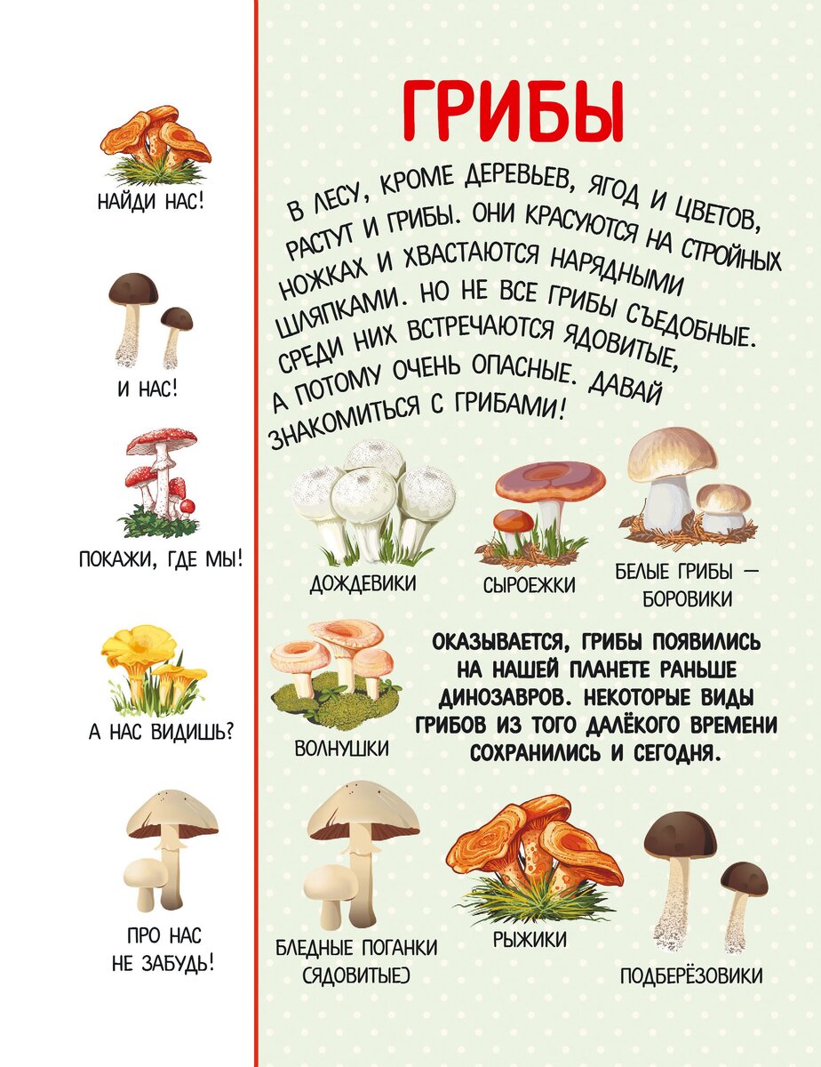 Можно ли грибы детям? - сеть детских клиник DocDeti