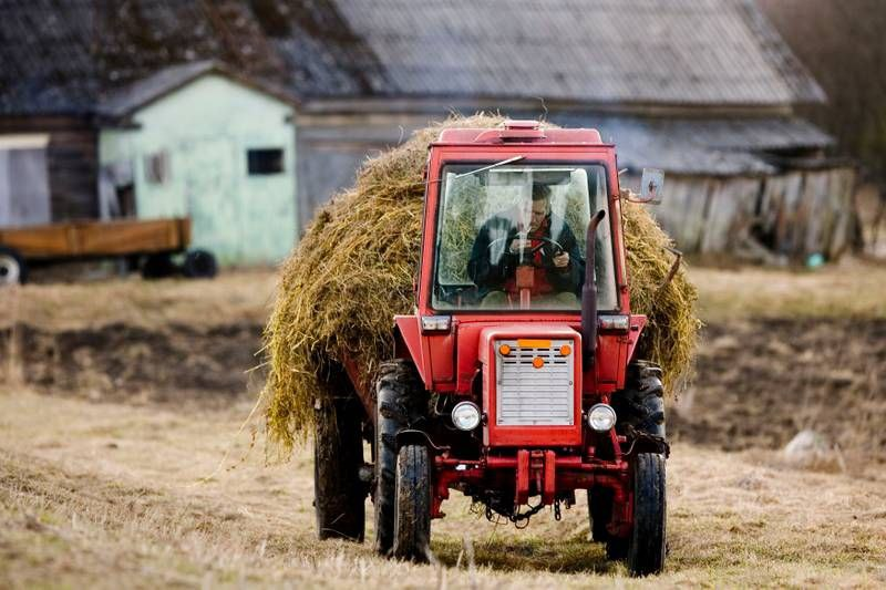 Более того, в стране отмечен рост импорта сельхозпродукции из РФ.-2