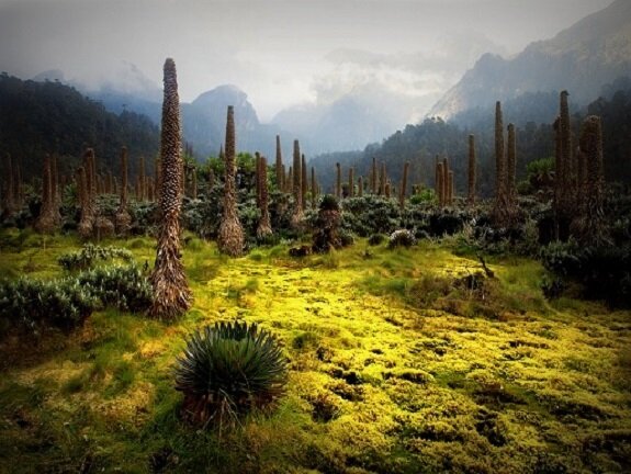 Лунные горы в Африке