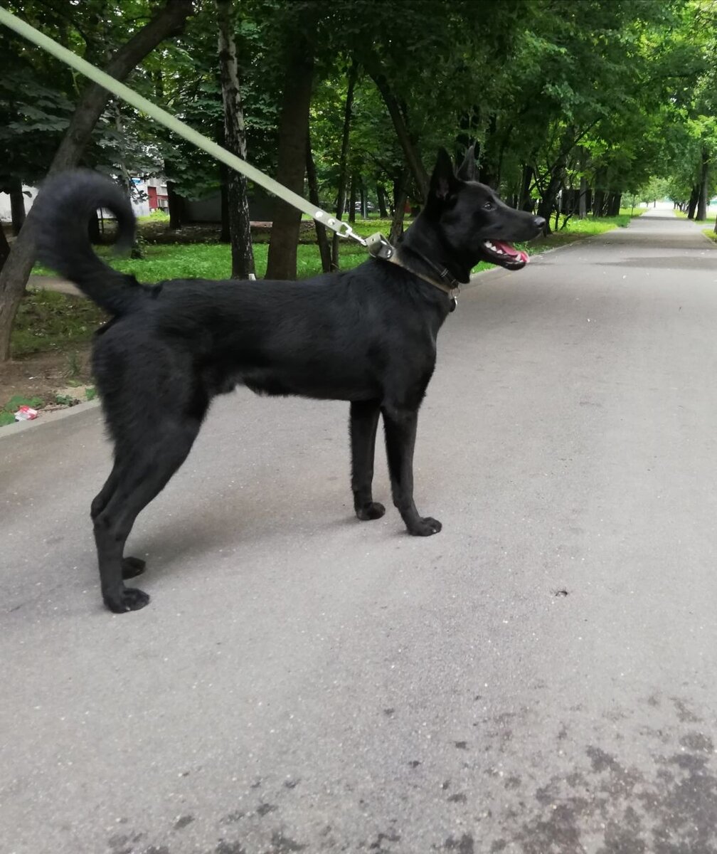 Такой он классный парень, а сколько ж ему выпало!