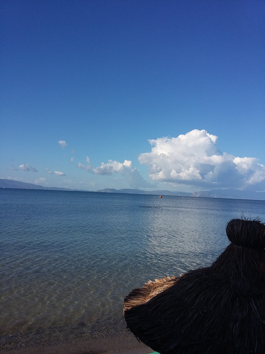 Фото из личного архива автора статьи