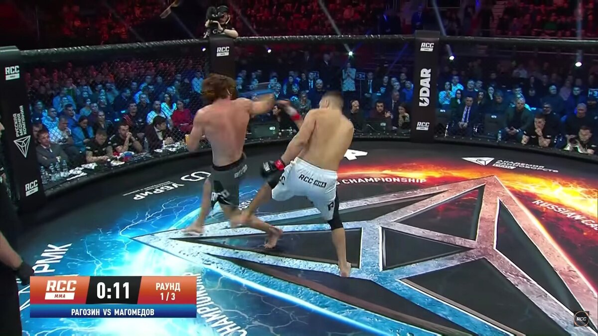 Бои шара були. Шара буллет UFC.