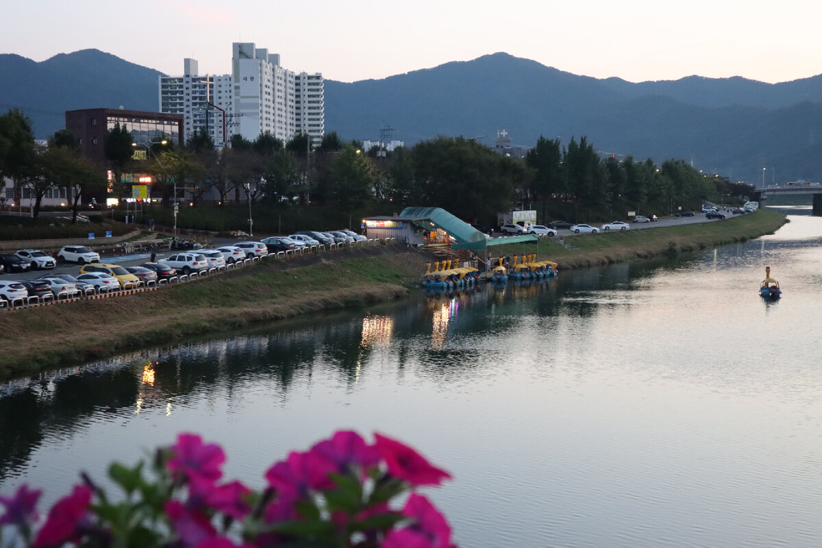 Здесь мы прокатились на утках-катамаранах