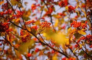    Фото: freepik.com/kireyonok-yuliya Анна Полякова