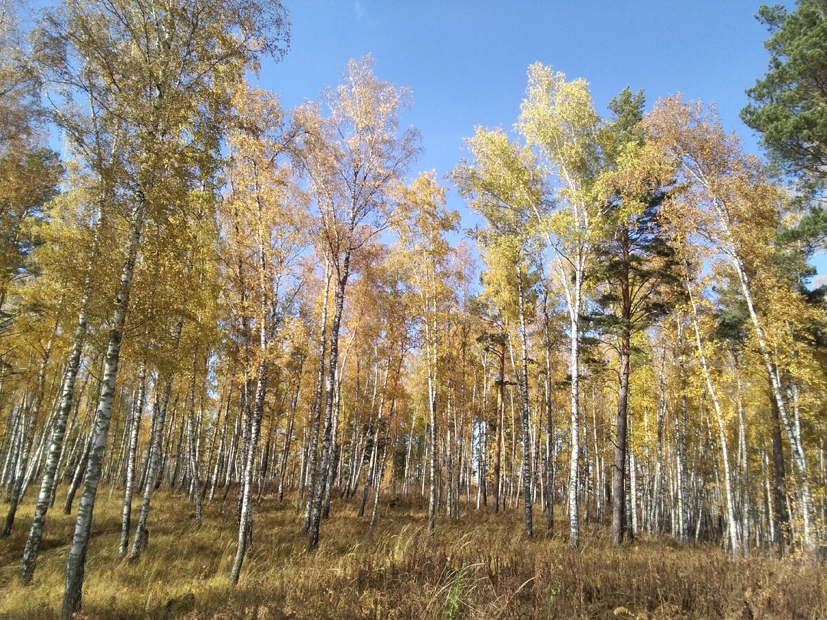 👉 можно листать