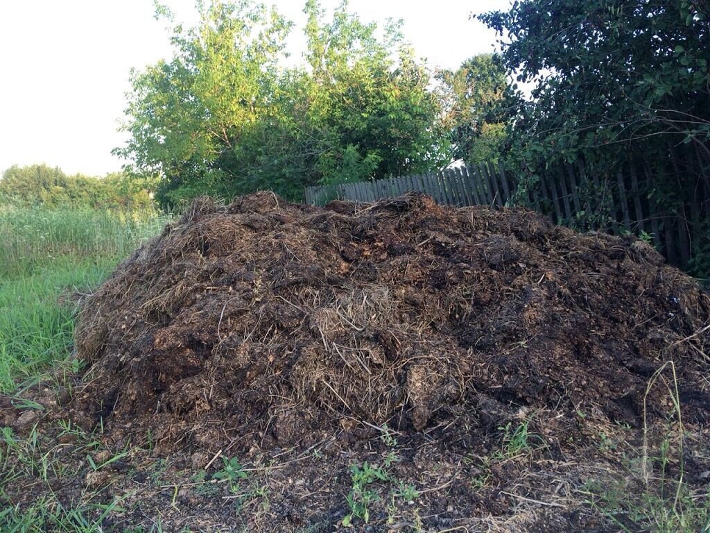 полезный навоз. полезный навоз. полезный навоз. тшн-5 навоз плюсы минусы. торф торфяная почва.