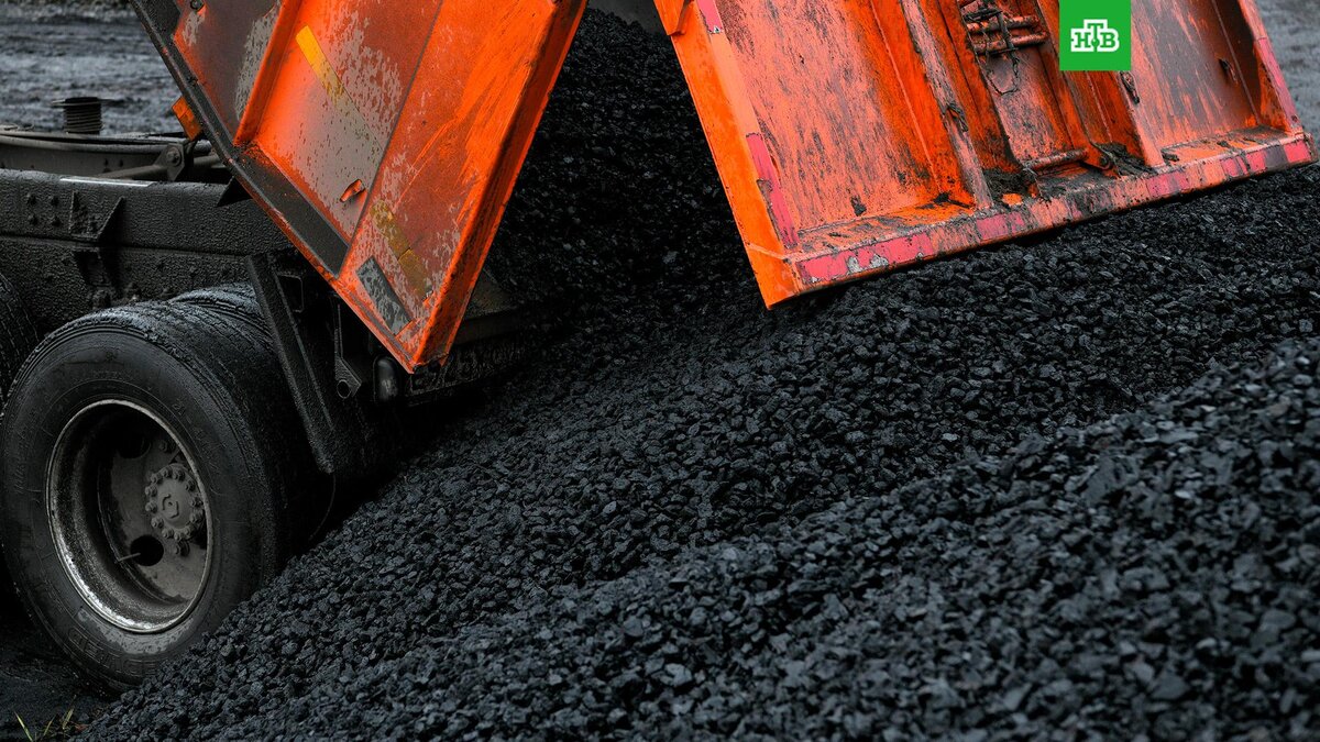    Фото: РИА Новости © 2023, Александр Патрин