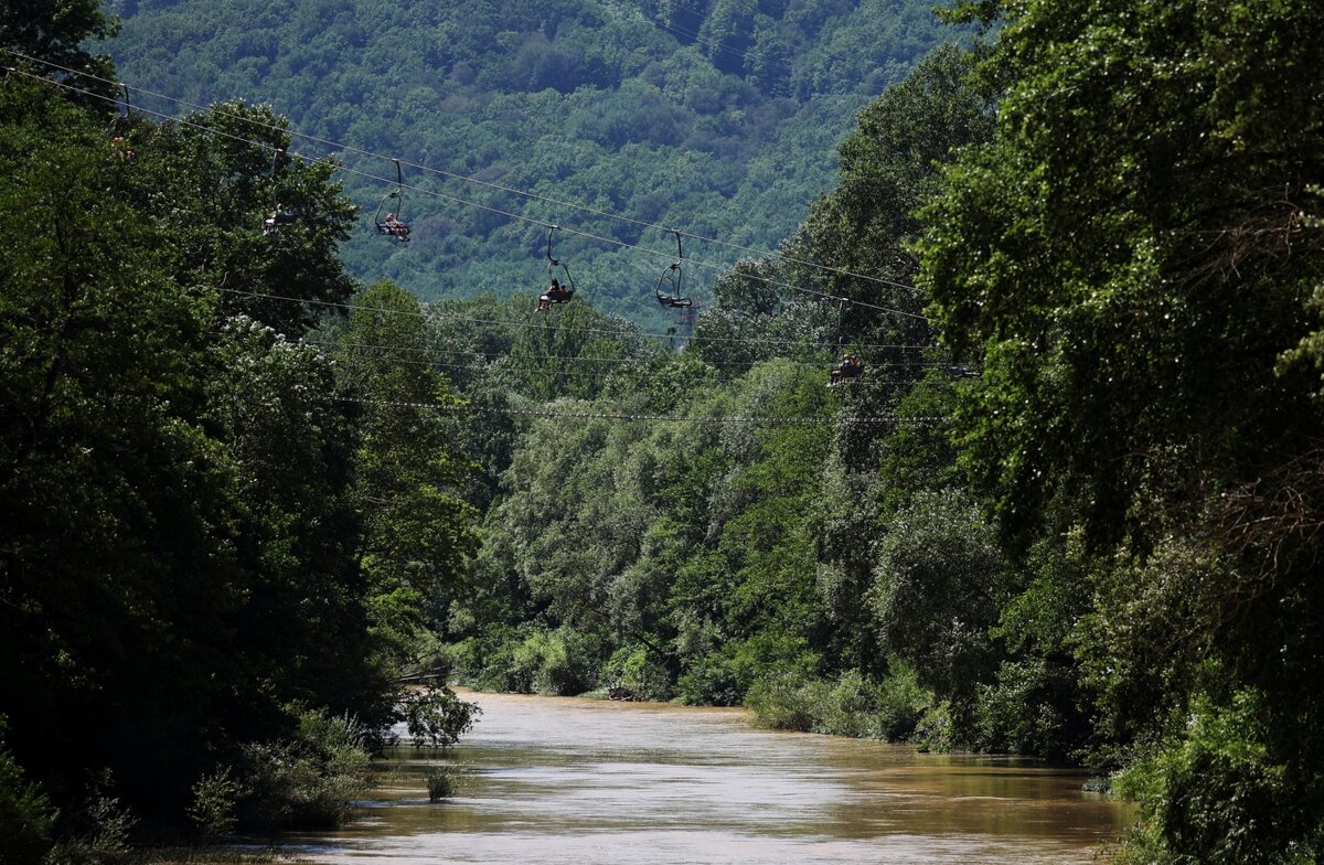 РИА Новости/ Виталий Тимкив