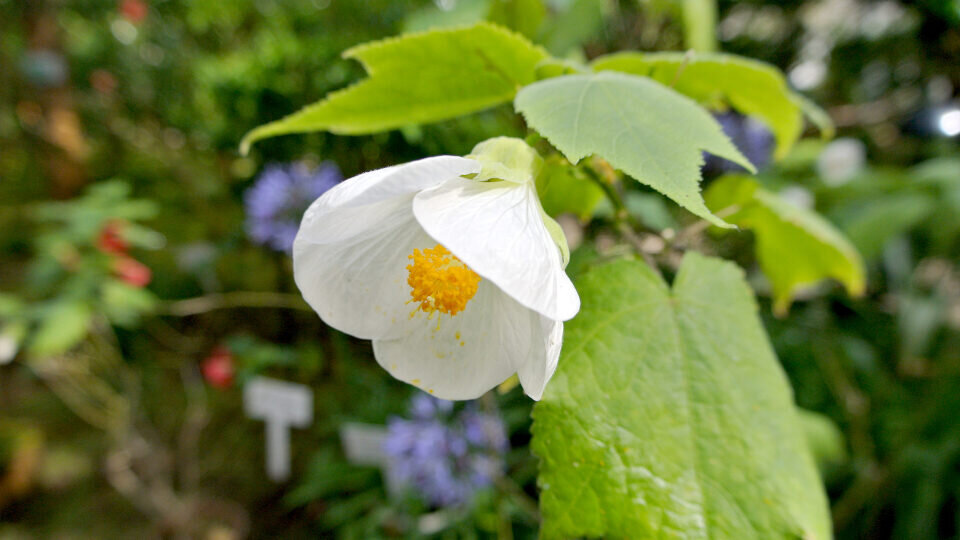  Фото: shutterstock.com