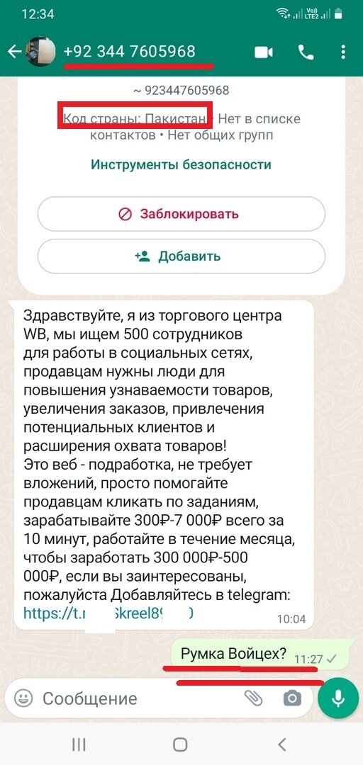 Фото автора. Переписка с мошенником якобы из Пакистана