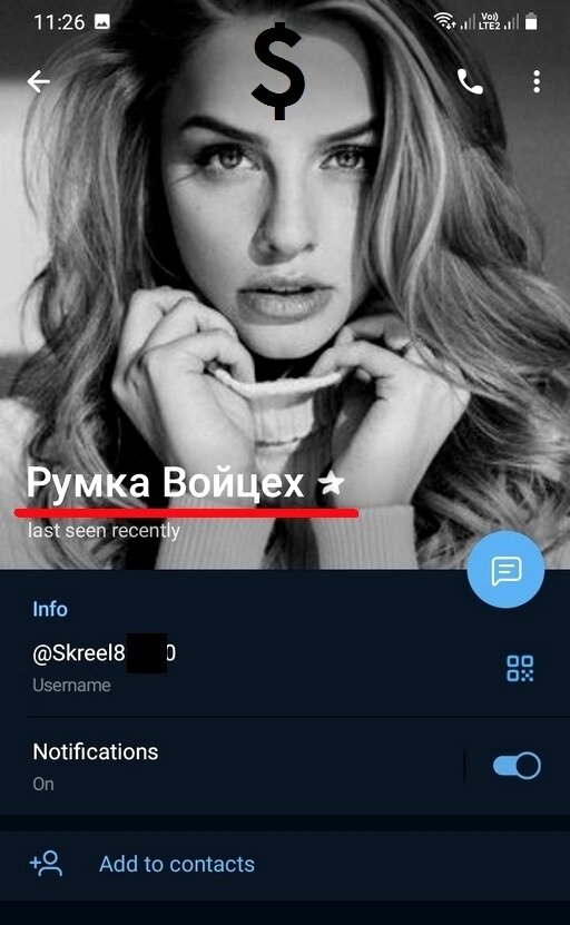 Фото автора. Аккаунт, на который ссылается мошенник из чата.