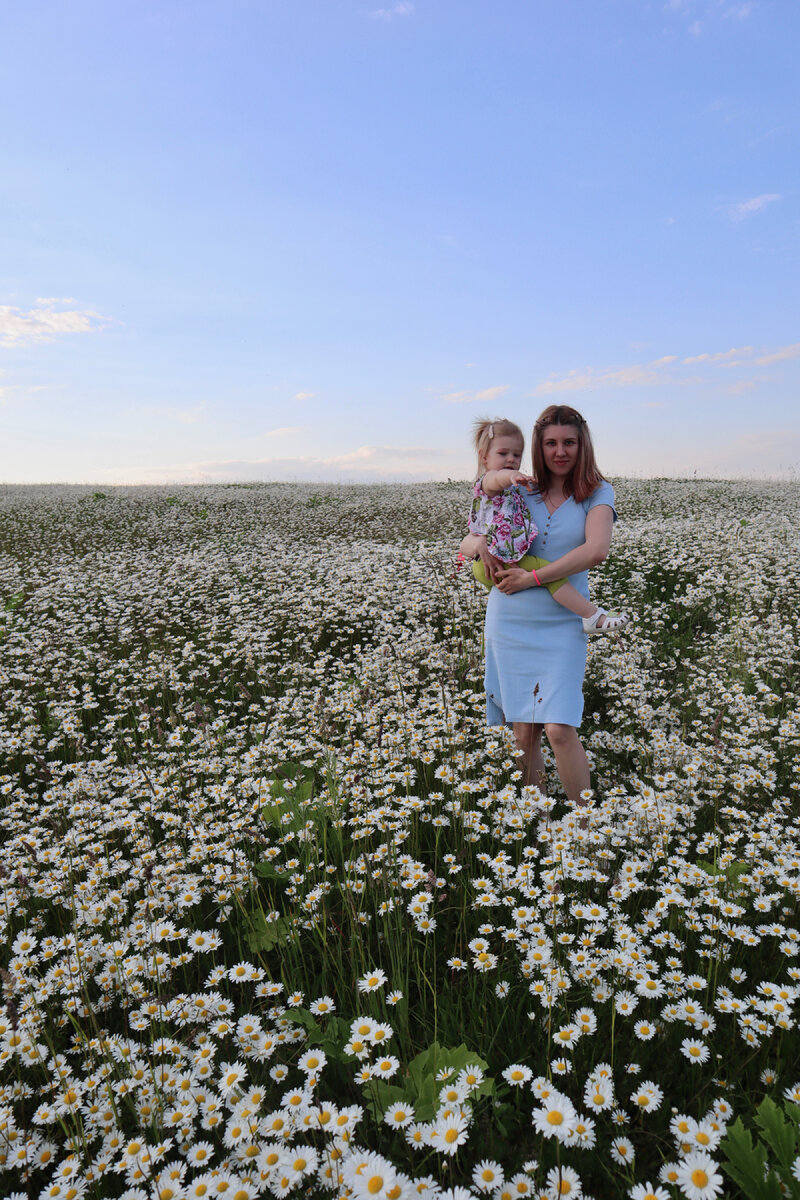 15.06 фотосессия в ромашковом поле 