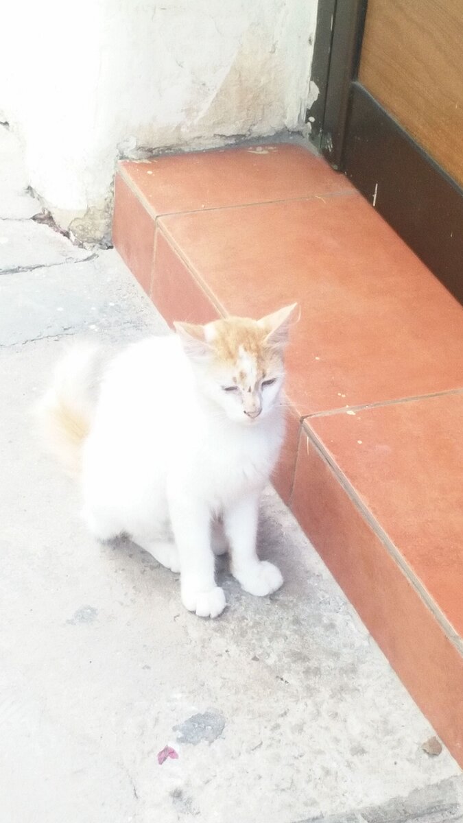 Я сонный после "ночной румбы"